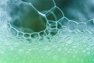 Close-up of bubbles in water