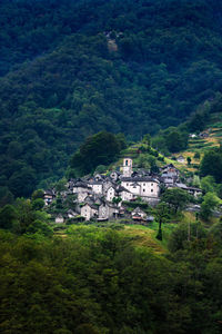 High angle view of buildings and trees on mountain