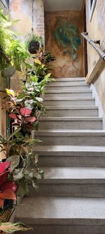 staircase