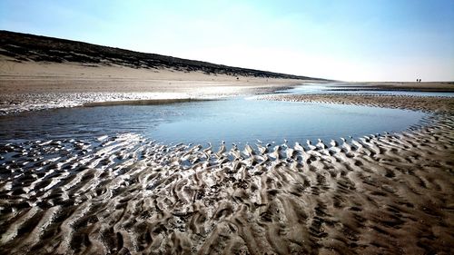 Scenic view of beach