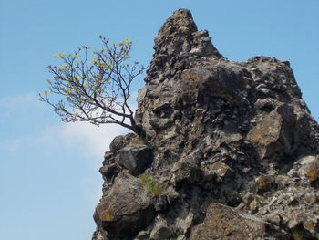 Low angle view of tree against clear blue sky