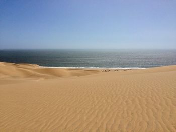 Scenic view of beach against clear sky