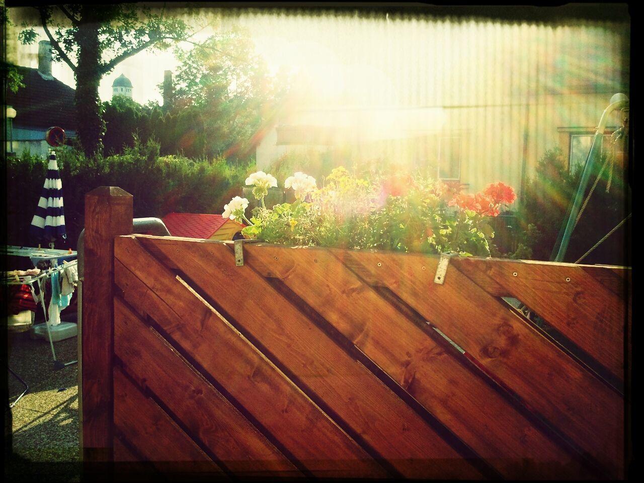 flower, transfer print, wood - material, growth, plant, tree, auto post production filter, sunlight, bench, nature, table, beauty in nature, chair, wood, wooden, potted plant, day, freshness, shadow, tranquility