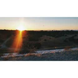 Sun shining over landscape