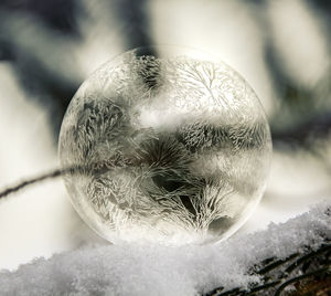 Close-up of ball