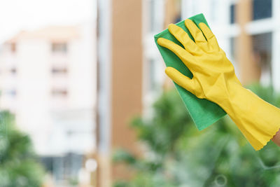 Cropped hand of woman cleaning window glass