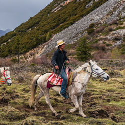 Horses on field