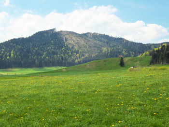 Scenic view of landscape against sky