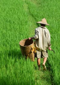 Rear view of man working in field