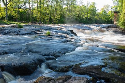 Stream flowing through rocks in forest