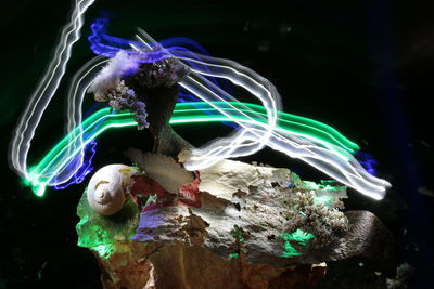 Digital composite image of light painting