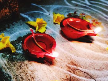 High angle view of red rose flower