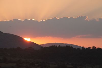 Silhouette trees against mountain during sunset