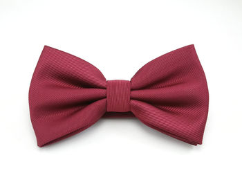 Close-up of pink petals on white background