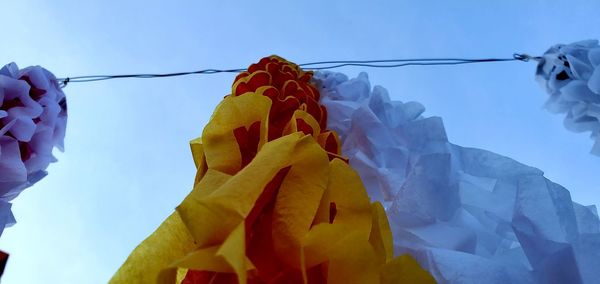 Low angle view of flowering plants hanging against blue sky