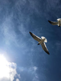 Low angle view of airplane flying in sky
