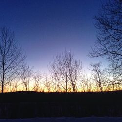 Bare trees on landscape at sunset