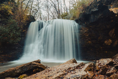 Scenic view of waterfall in forest