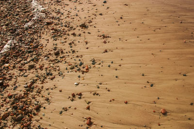 A beautiful sand patterns at the beach of baltic sea