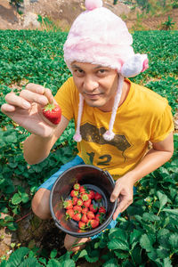 High angle portrait of man picking strawberries at farm