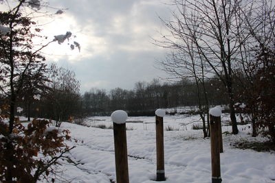 Bare trees on snow field against sky