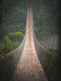 View of footbridge through trees