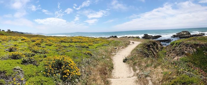 Scenic view of sea against sky