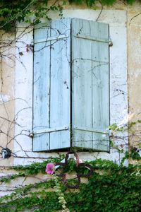 Flower plants against built structure