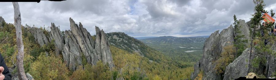 Panoramic shot of trees on landscape against sky