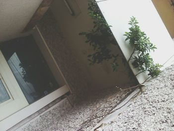 architecture