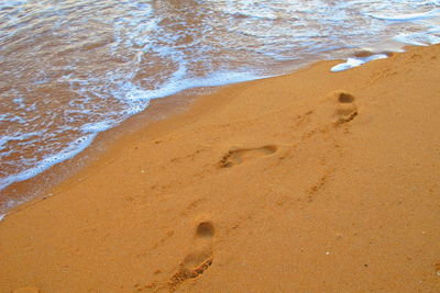 High angle view of footprints on beach