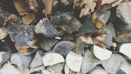 Full frame shot of logs