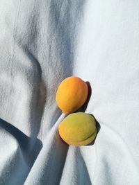 High angle view of fruits on table