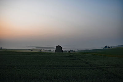 Scenic view of agricultural field against sky during sunset