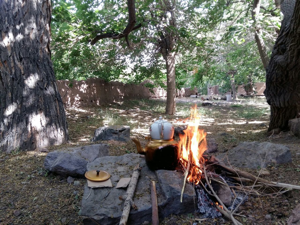 flame, burning, fire - natural phenomenon, heat - temperature, firewood, bonfire, forest, tree, fire, log, wood - material, campfire, glowing, outdoors, nature, sunlight, heat, tree trunk, close-up, orange color