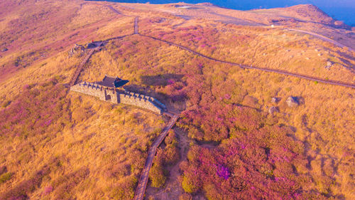 High angle view of trees during autumn