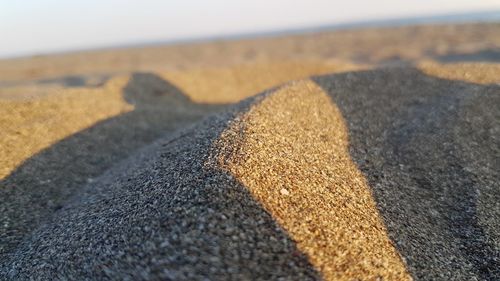 Surface level of sand on beach during sunny day