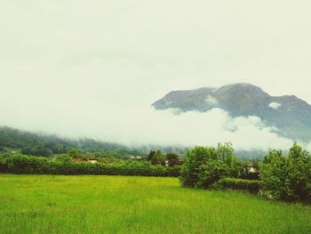 Scenic view of landscape against sky