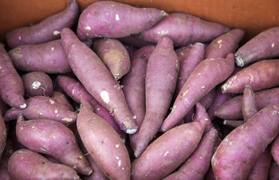 High angle view of sweet potatoes for sale at market stall