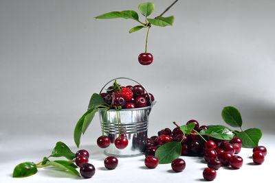 Close-up of berries against white background