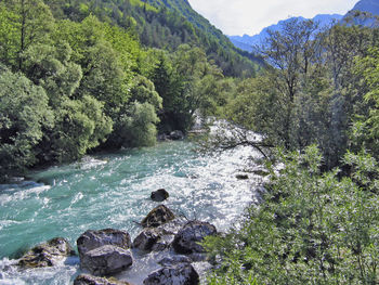The emerald soca river near bovec