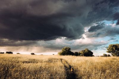 Scenic view of landscape against cloudy sky