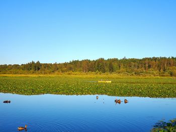 Scenic view of lake against clear blue sky with two people canoeing