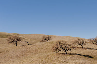 Scenic view of desert against clear blue sky