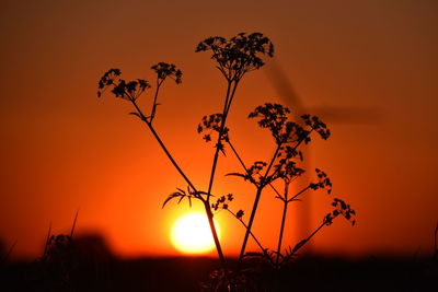 Silhouette plants on field against romantic sky at sunset