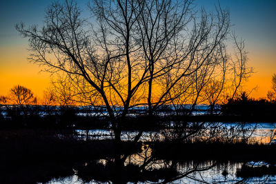 Silhouette bare trees by lake against sky during sunset