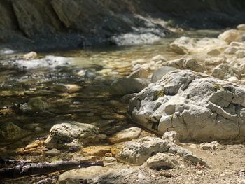 Close-up of rocks in sea