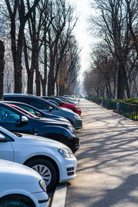 Cars on road in city