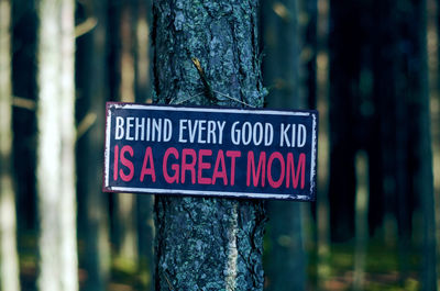 Close-up of information sign on tree trunk