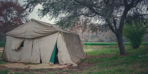 View of tent on field against trees